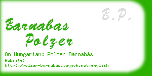 barnabas polzer business card